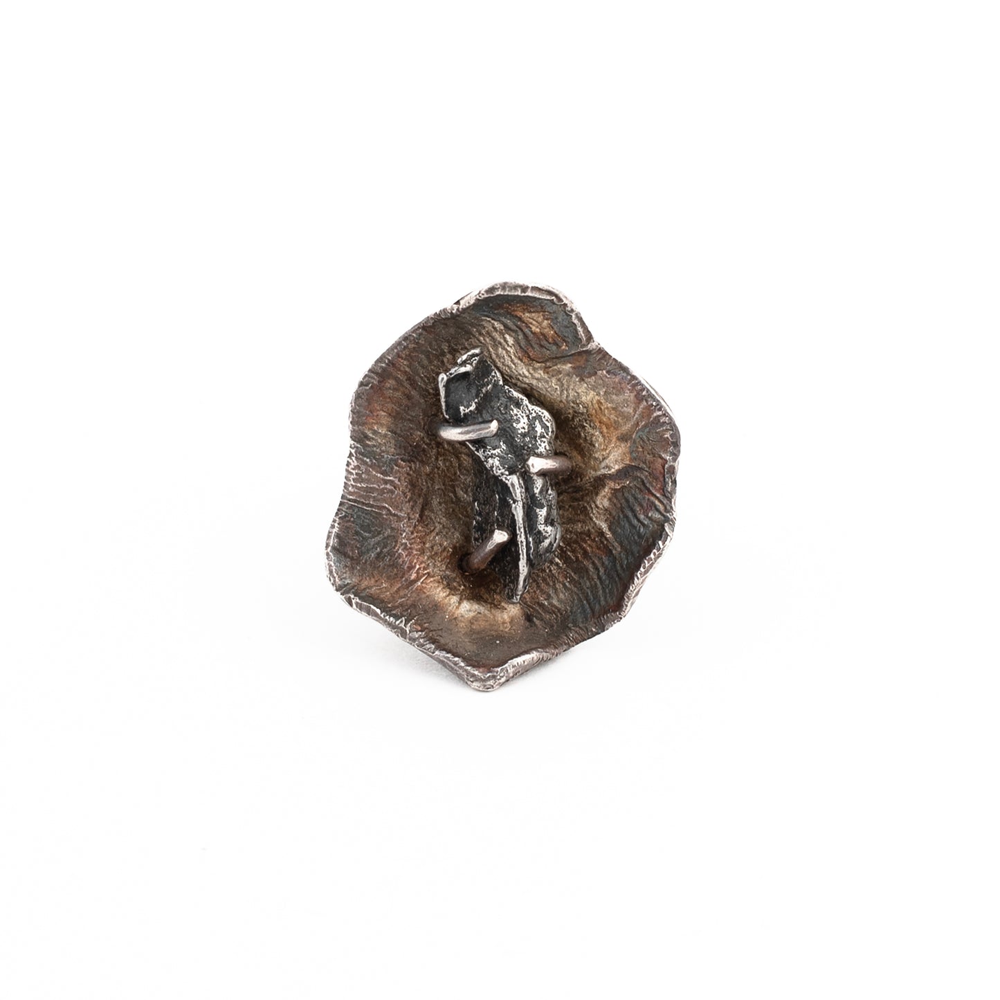 Botanic Crystal Ring // Meteorite