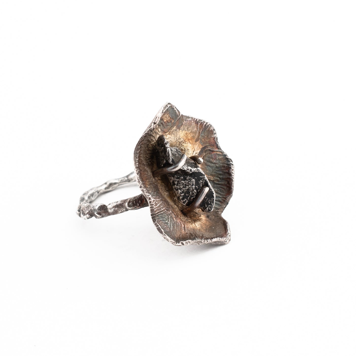 Botanic Crystal Ring // Meteorite