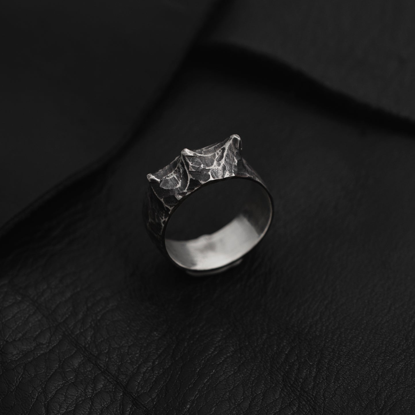 IX - Dark Circles Ring // Sterling Silver