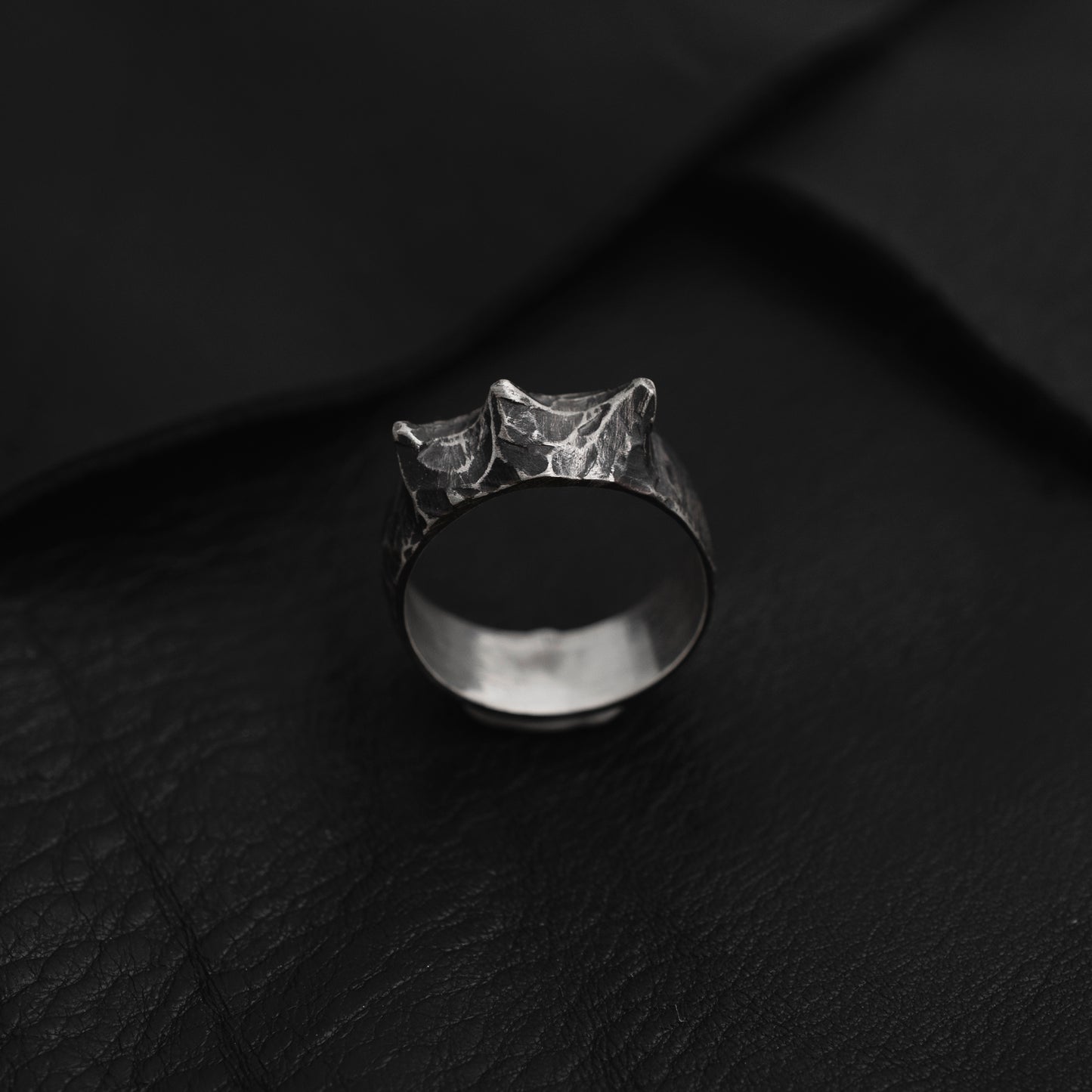 IX - Dark Circles Ring // Sterling Silver
