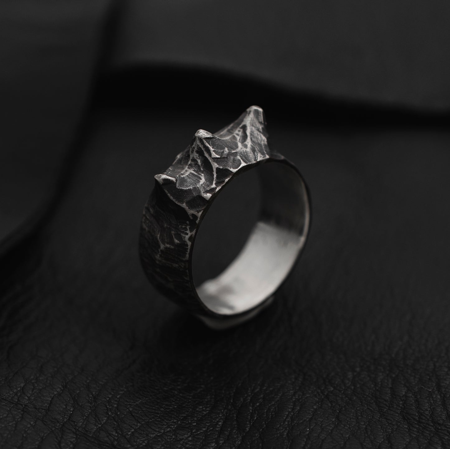 IX - Dark Circles Ring // Sterling Silver