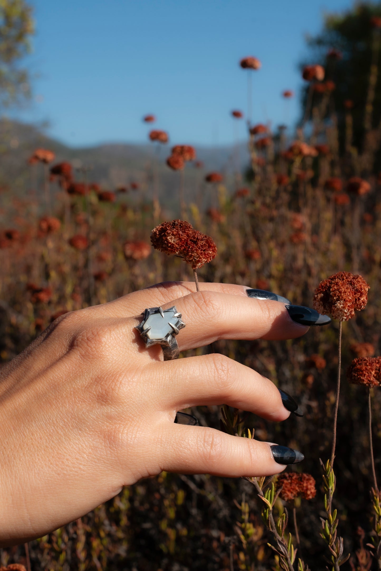 Flood Ring // White Moonstone