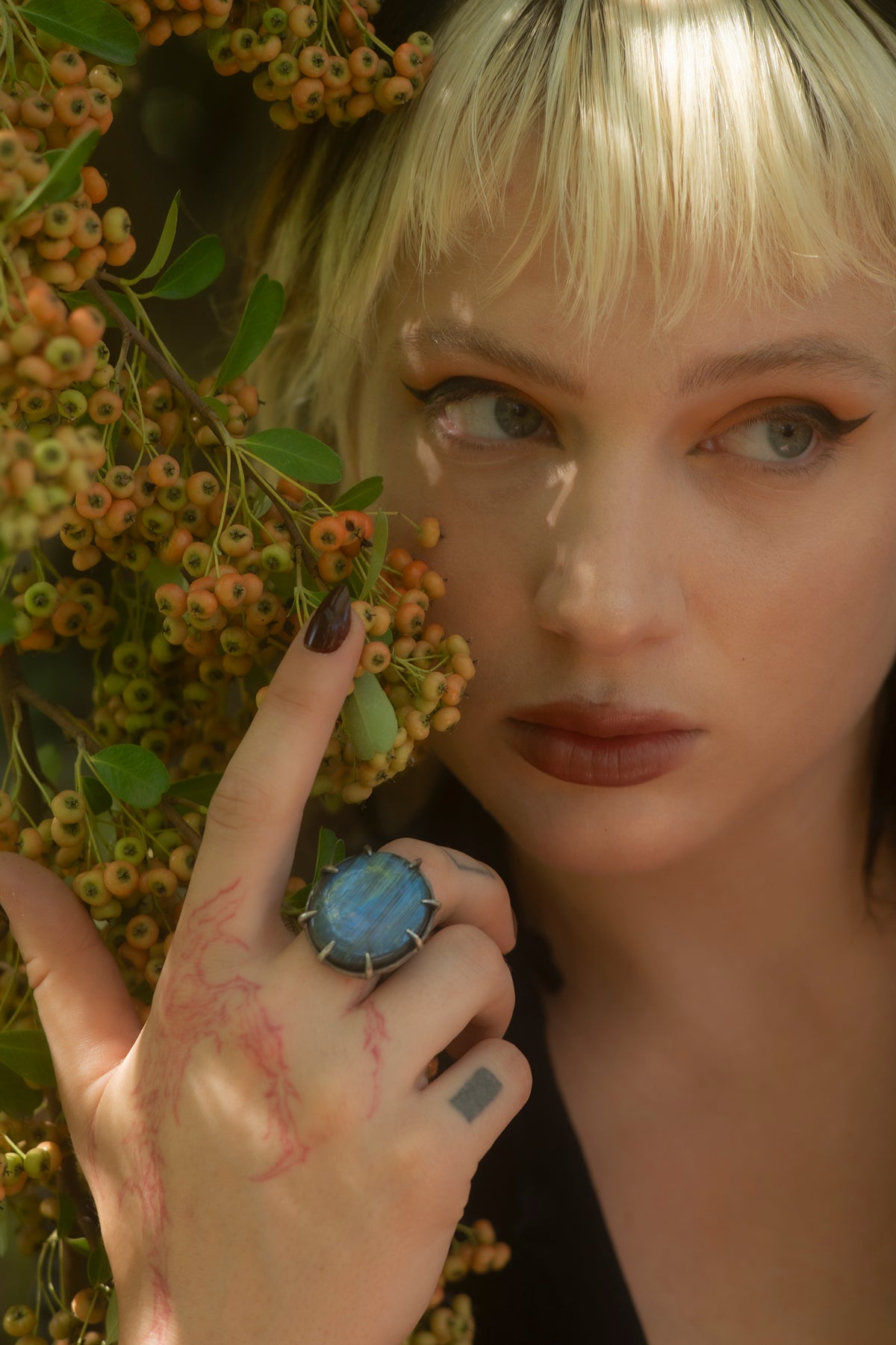 // Labradorite 2