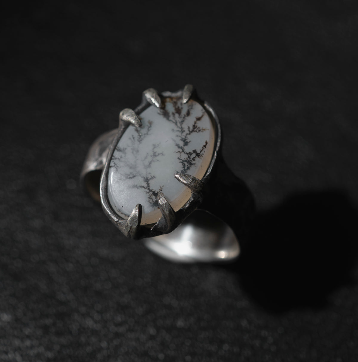 // Dendritic Agate 1