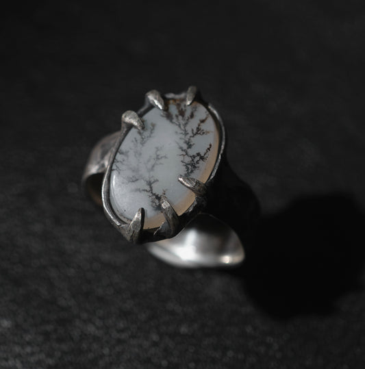 // Dendritic Agate 1