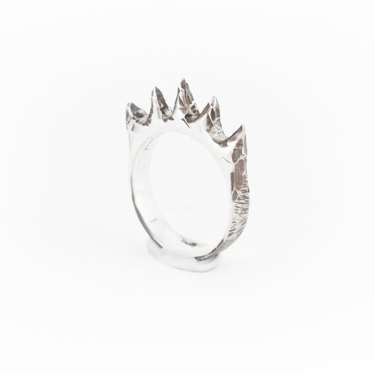 Debt Collector Ring // Sterling Silver
