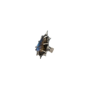 IxC999 Ring