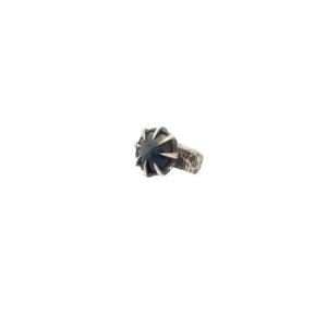 Destroyer Ring (II)