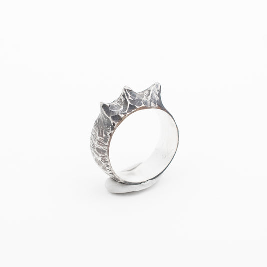 IX - Dark Circles Ring // Sterling Silver
