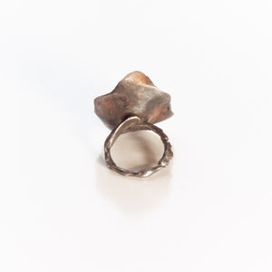 Botanic Crystal Ring // Meteorite