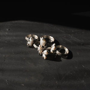 Ammonite Rings // Baroque Pearl